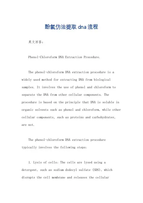 酚氯仿法提取dna流程