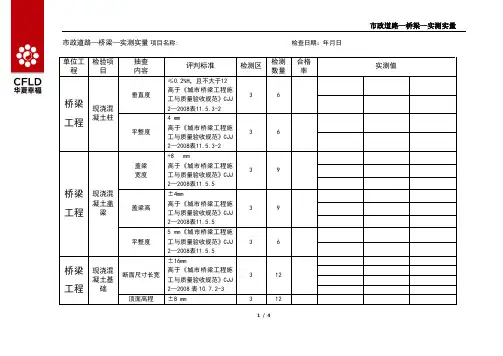 市政道路-桥梁-实测实量