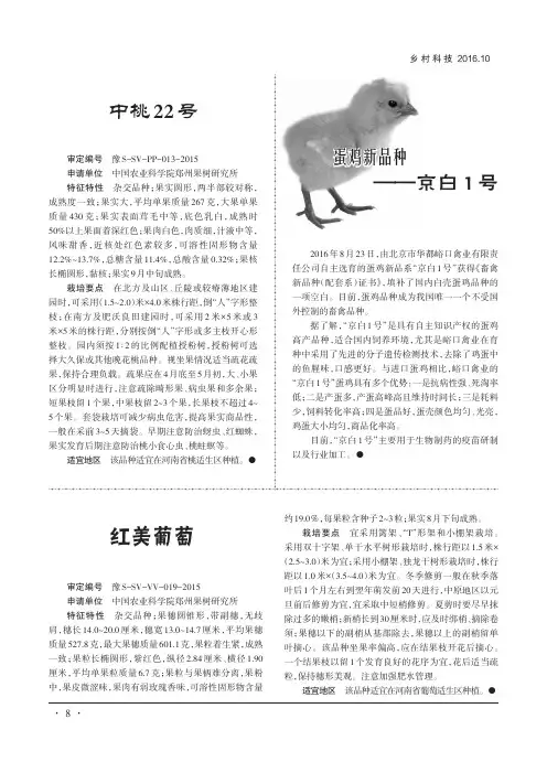蛋鸡新品种——京白1号