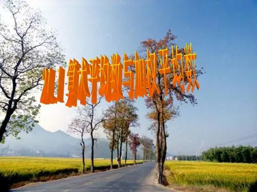 21.1算术平均数、加权平均数