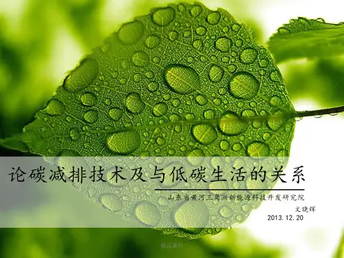 碳减排与低碳生活