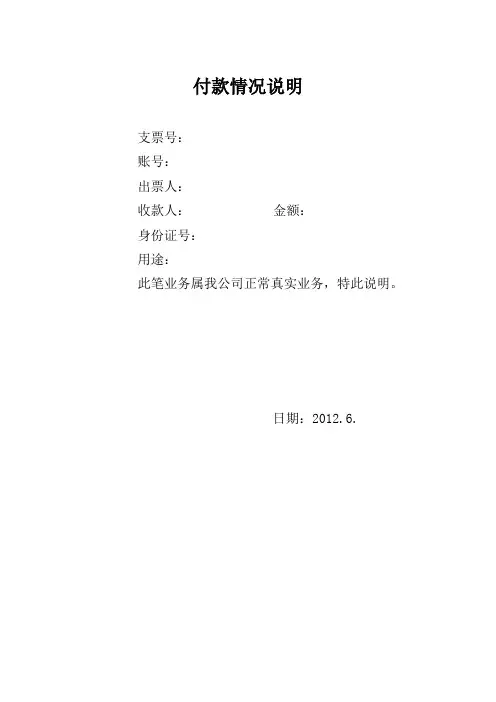 付款情况说明
