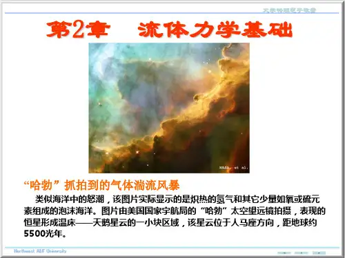 大学物理流体力学基础