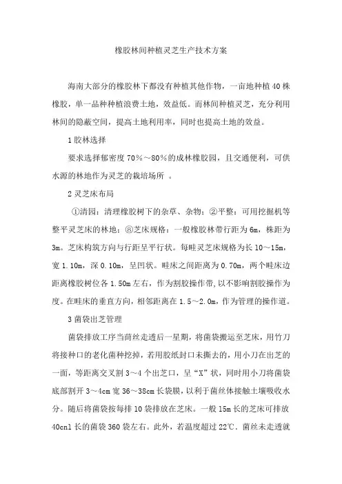 橡胶林间种植灵芝生产技术方案