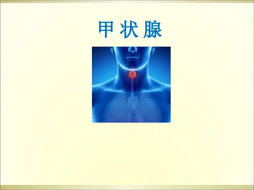 甲状腺ppt