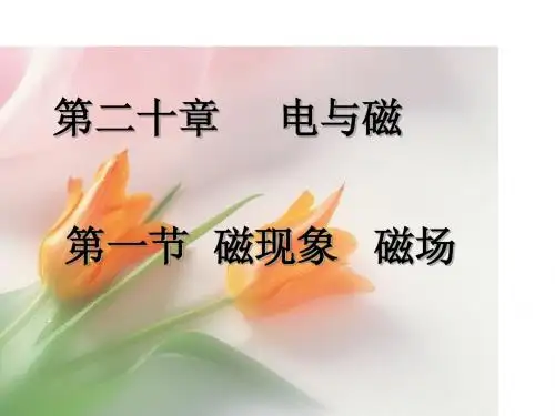 磁现象磁场教学课件