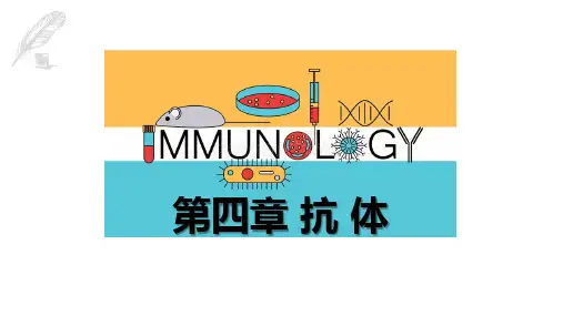 抗体-免疫学