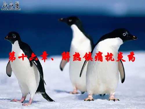 第16章  解热镇痛抗炎药