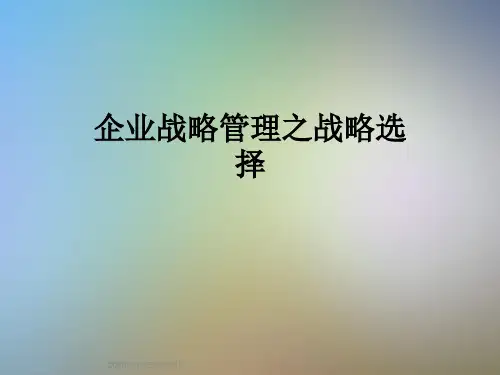 企业战略管理之战略选择