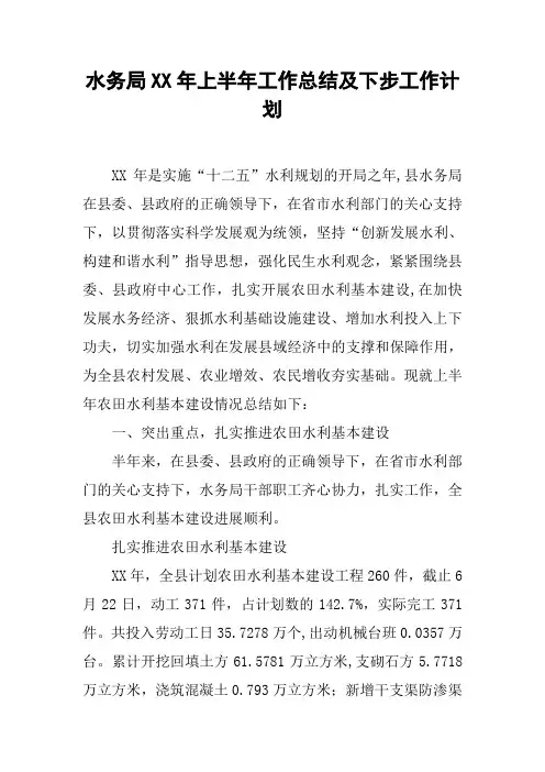 水务局XX年上半年工作总结及下步工作计划