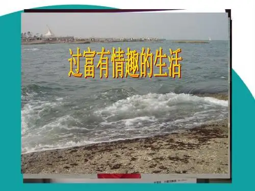 鲁教版12.第十四课第二框过富有情趣的生活课件 鲁教版