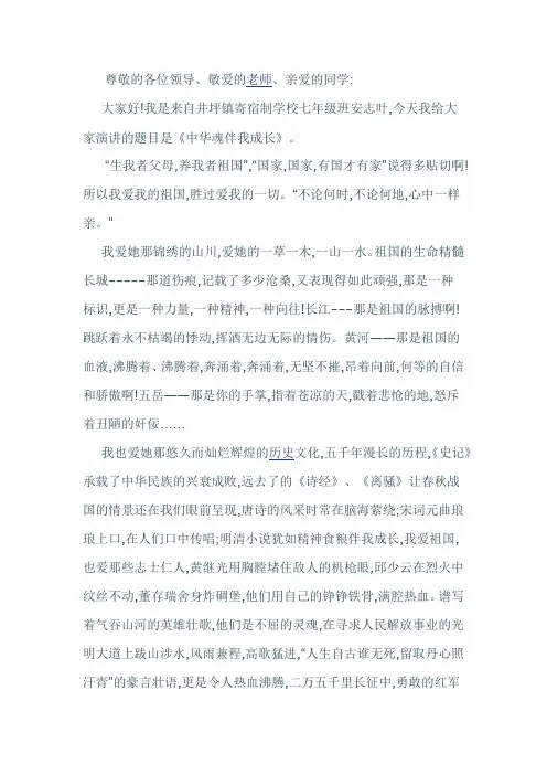 中华魂演讲稿