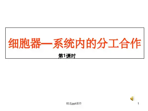 细胞器——系统的分工与合作