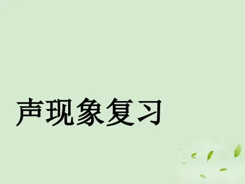中考物理一阶段声现象复习人教新标版PPT课件