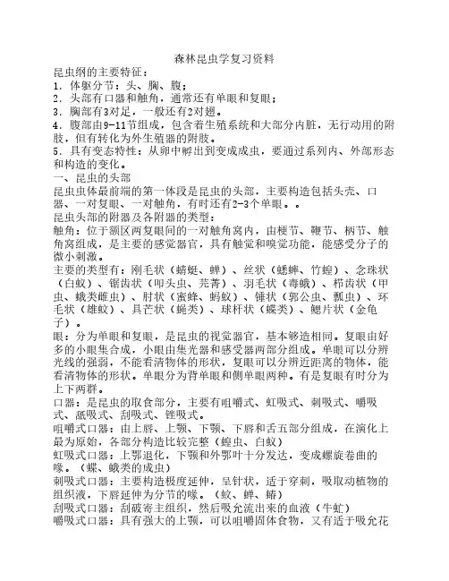 西北农林科技大学普通昆虫    学复习资料——森保102班