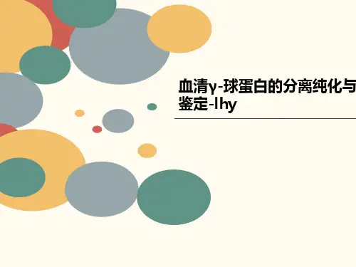 血清γ-球蛋白的分离纯化与鉴定-lhy
