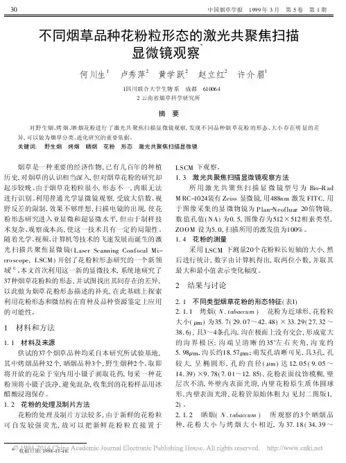 不同烟草品种花粉粒形态的激光共聚焦扫描显微镜观察_何川生