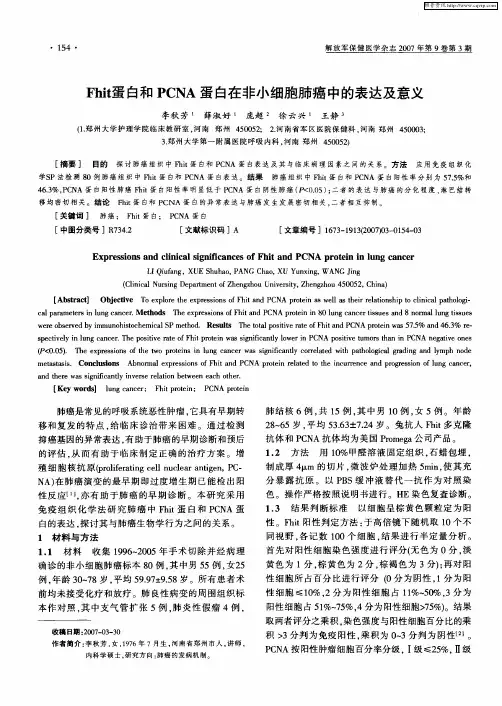Fhit蛋白和PCNA蛋白在非小细胞肺癌中的表达及意义