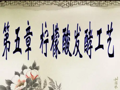 柠檬酸发酵工艺