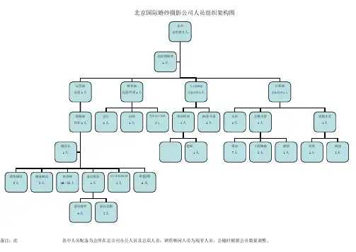 国际摄影公司组织架构图