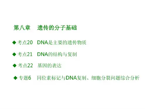 2018版高考生物大一轮复习(应试基础必备高考考法突破)课件第八章遗传的分子基础(共49张PPT)