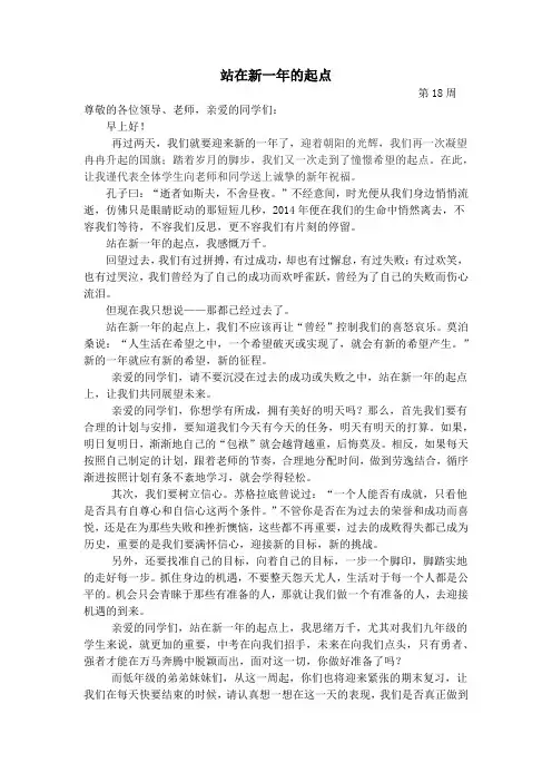 讲话稿《站在新一年的起点》