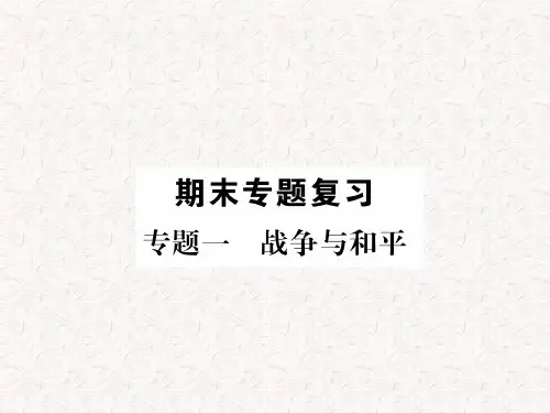 部编版九年级历史下册专题复习课件全套