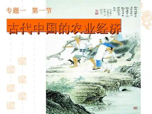 古代中国的农业经济 PPT课件7 人民版