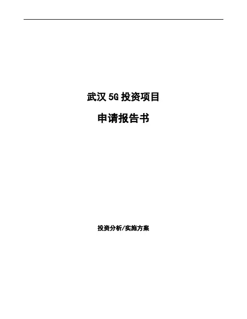武汉5G投资项目申请报告书