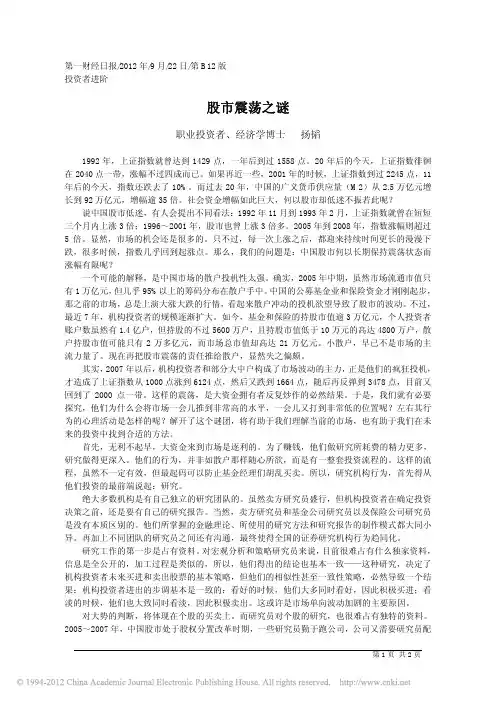 股市震荡之谜