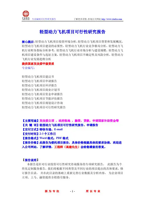 轻型动力飞机项目可行性研究报告