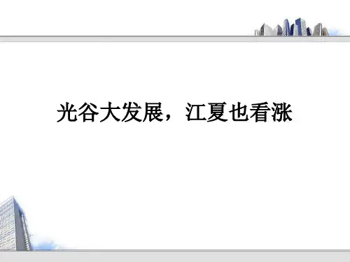 江夏区域规划建设和价值分析