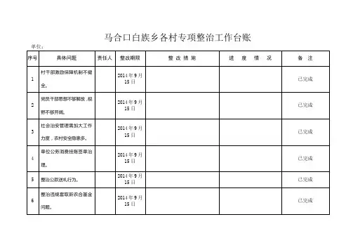 村专项整治工作台账