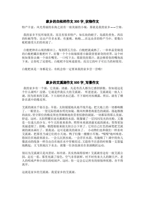 家乡的艾溪湖作文500字_写景作文