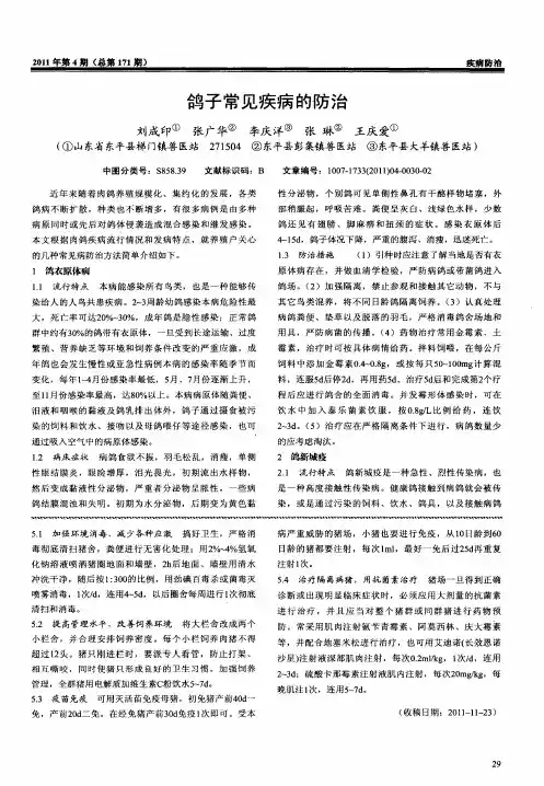 鸽子常见疾病的防治