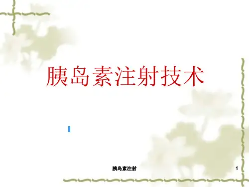 胰岛素注射PPT课件