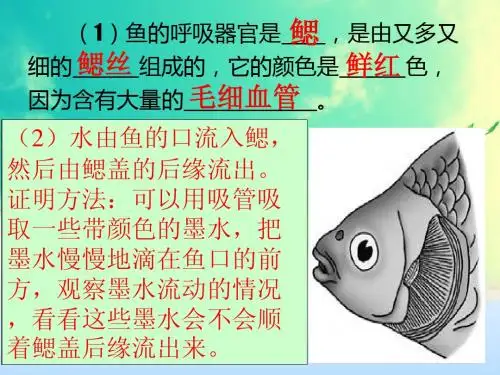 鱼 2