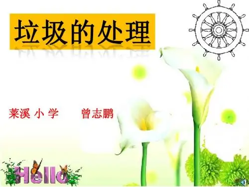 垃圾的处理