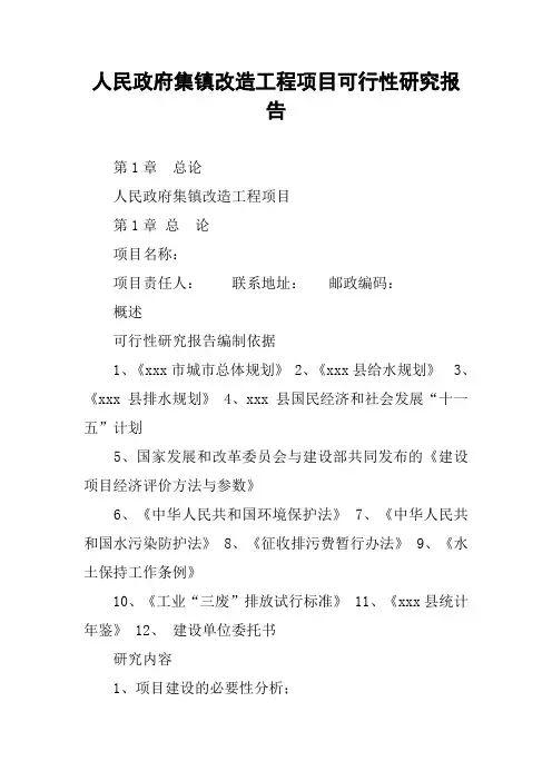 人民政府集镇改造工程项目可行性研究报告