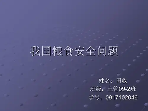 我国粮食安全问题-PPT课件