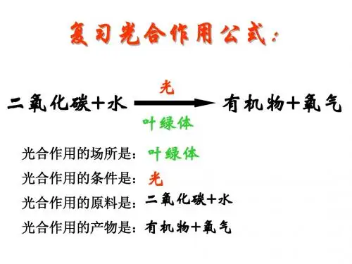 第三节植物光合作用的实质(一)