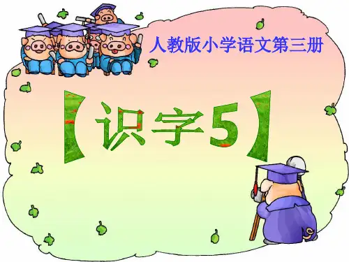 识字5(二年级语文)PPT课件