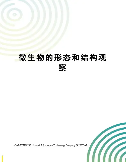 微生物的形态和结构观察