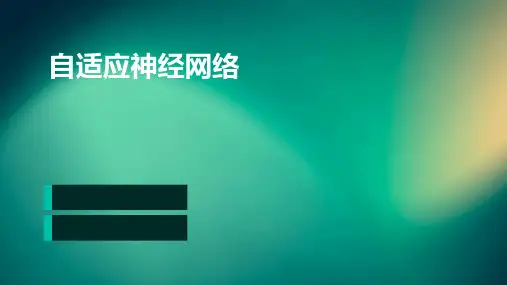 自适应神经网络