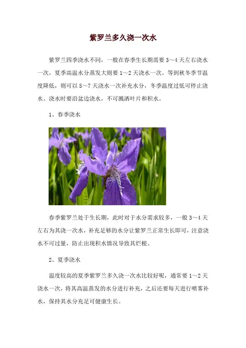 紫罗兰多久浇一次水