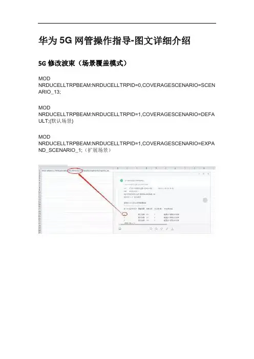 5G网管操作