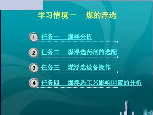 煤的浮 选