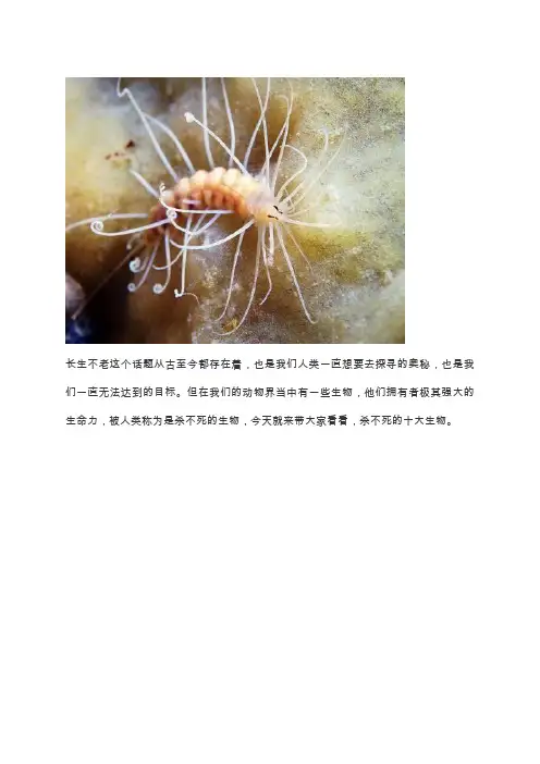 地球上10大杀不死的生物