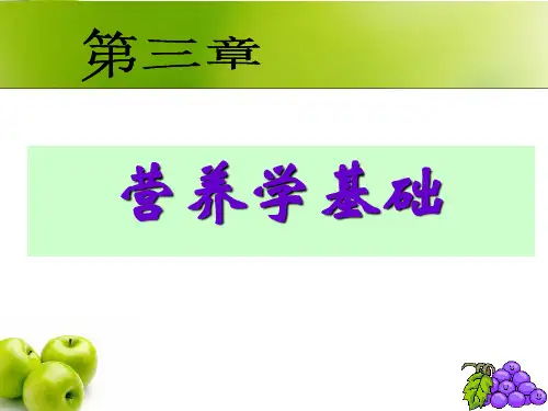 营养学基础第三章
