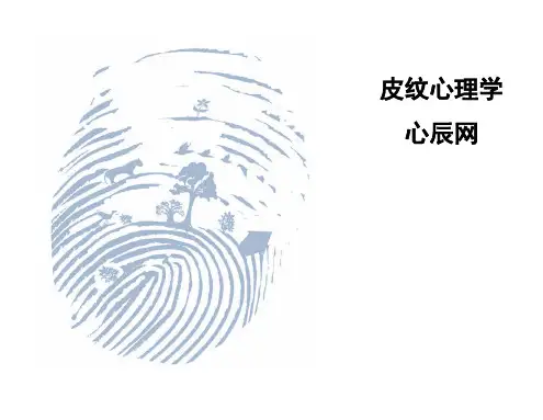 2、识别指纹类型及主人格